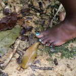 Barefooted walker, trinidad sky